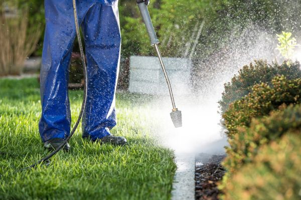 Cost of Curb Cleaning in Venice