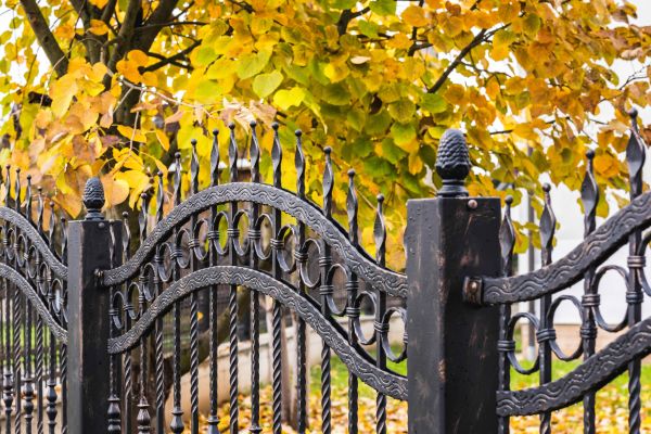 Wrought Iron Fence Washing in Venice
