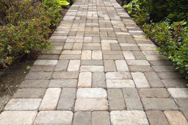 Paver Walkway Cleaning in Venice
